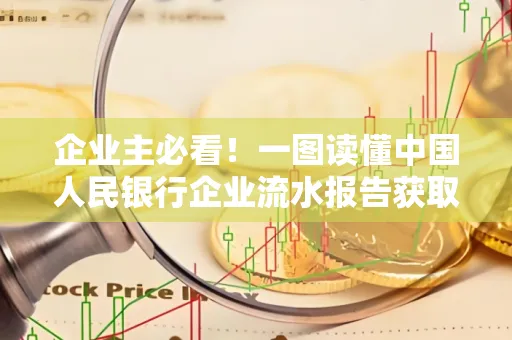 企业主必看！一图读懂中国人民银行企业流水报告获取全流程