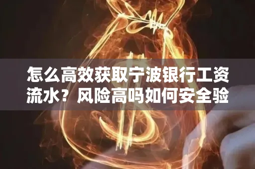 怎么高效获取宁波银行工资流水？风险高吗如何安全验证？