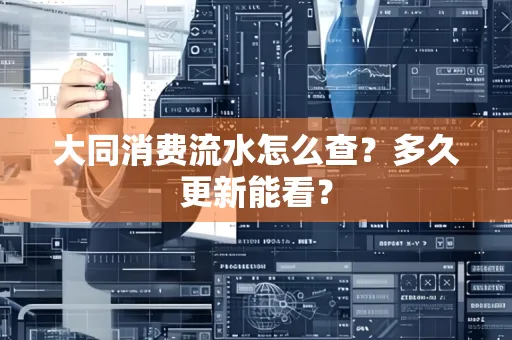 大同消费流水怎么查？多久更新能看？