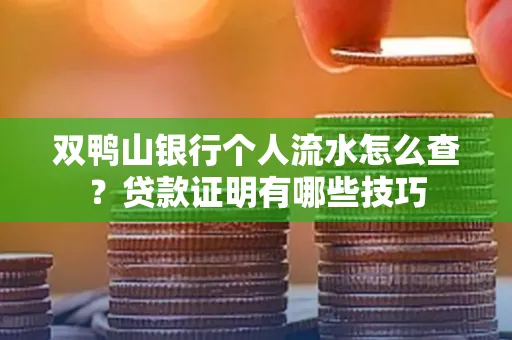 双鸭山银行个人流水怎么查？贷款证明有哪些技巧