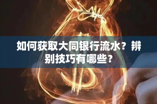 如何获取大同银行流水？辨别技巧有哪些？