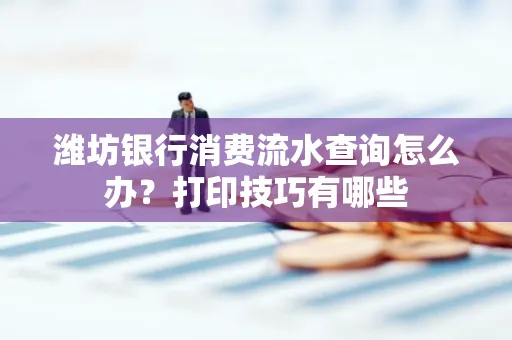 潍坊银行消费流水查询怎么办？打印技巧有哪些