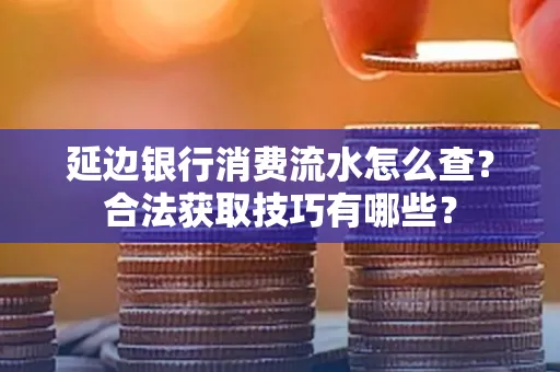 延边银行消费流水怎么查？合法获取技巧有哪些？